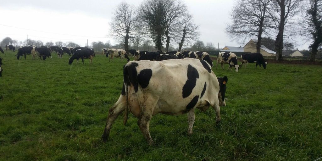 modele agriculture productivise effondrer jean-luc melenchon