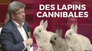 lapins cannibales