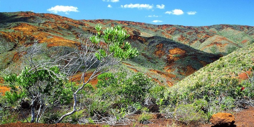 nouvelle caledonie nature