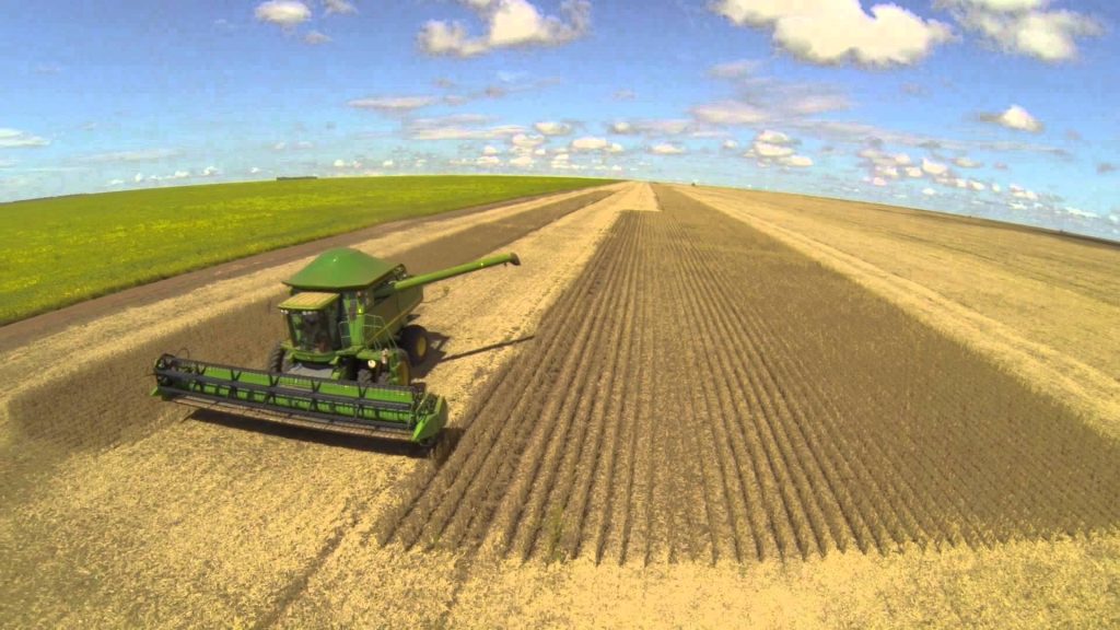 Importation de soja américain sur le territoire européen