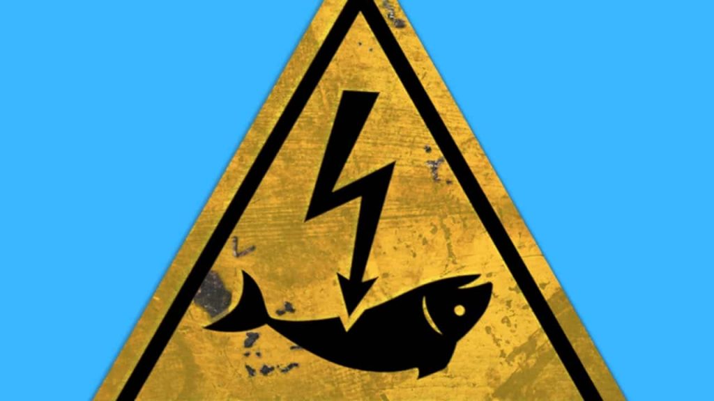 peche electrique