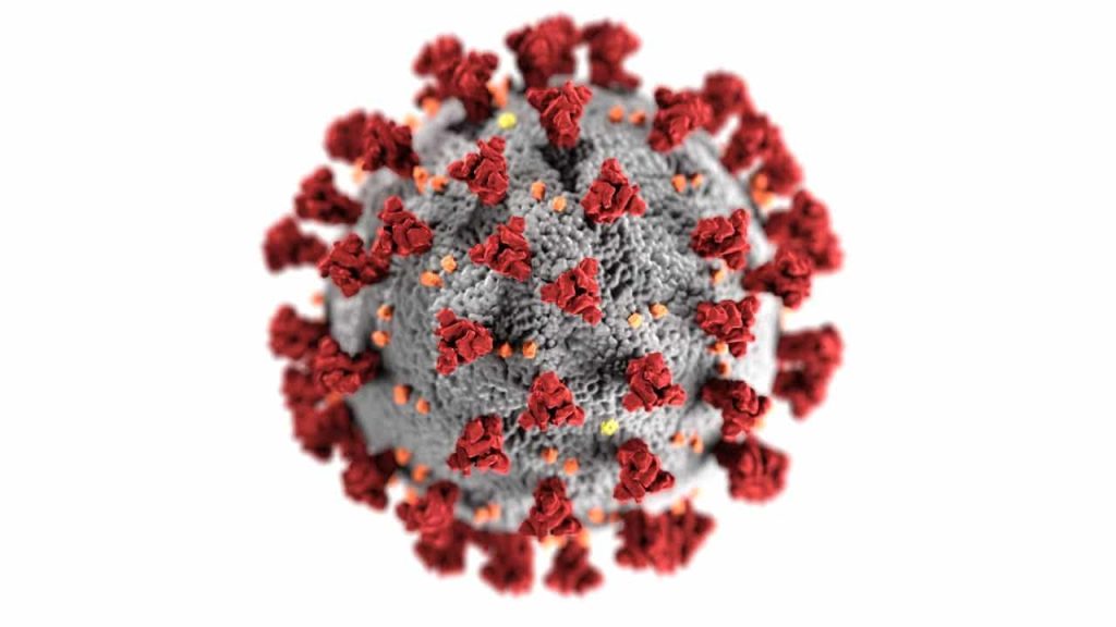 coronavirus