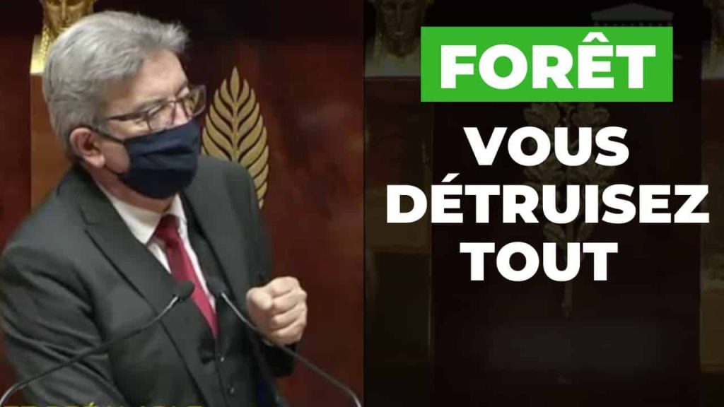 foret vous detruisez tout