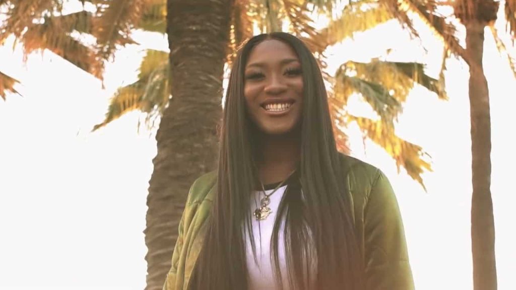 creolisation variete francaise